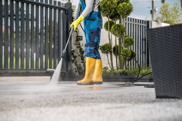 Best Driveway Pressure Washing  in Eutaw, AL